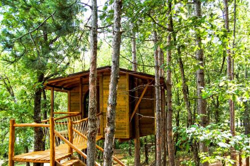 a tree house in the middle of the forest at Agramada in Arnaia