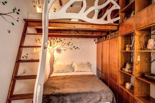 Tempat tidur susun dalam kamar di Pellegrino