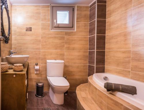a bathroom with a toilet and a sink and a tub at Anastasis Luxury Villa Andros With Heated Pool in Sinétion