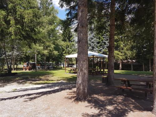 a picnic table in a park with trees at Casa Alpina Dobbiaco in Dobbiaco