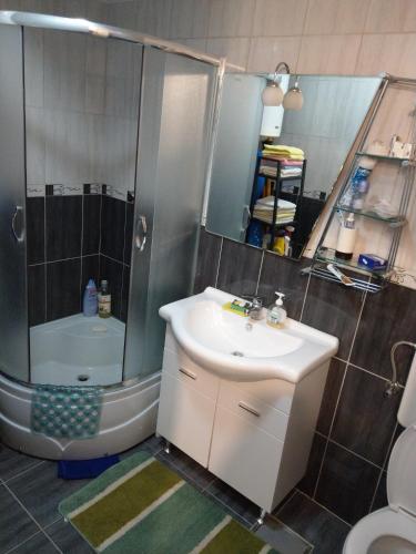 a bathroom with a sink and a shower and a toilet at AS Apartments Risan in Risan