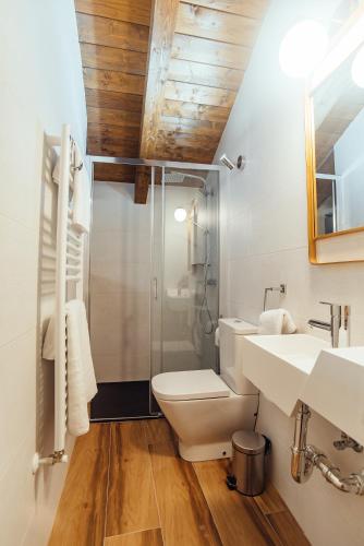 a bathroom with a toilet and a glass shower at Hotel Rural Pinares de Soria in Molinos de Duero