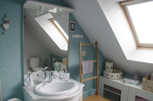ein Badezimmer mit einem Waschbecken und einem Dachfenster in der Unterkunft La Parquerie in Orval
