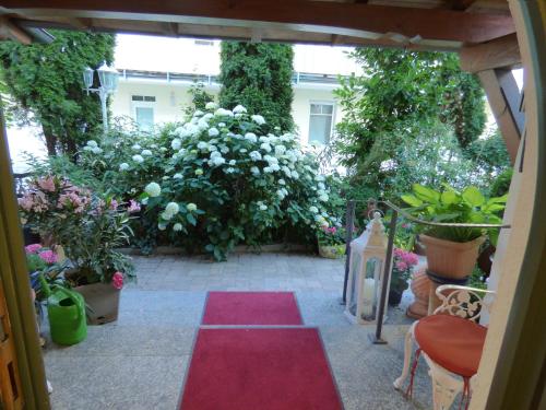 Κήπος έξω από το Hotel Engelhof