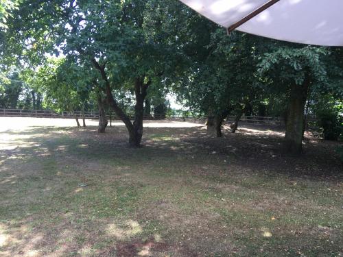 Field End House Strawberry Lane Meysey Hamptonにある庭
