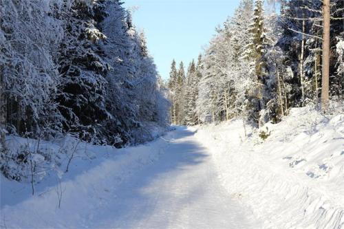 Gallery image of Hiking Cabin in Sälen