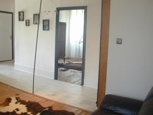 un chien couchant sur le sol devant un miroir dans l'établissement Un petit coin de paradis, à Gluiras