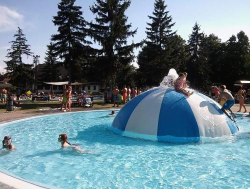 a group of people in a swimming pool with an elephant in the water at Twins House - Dorka Apartman in Bogács