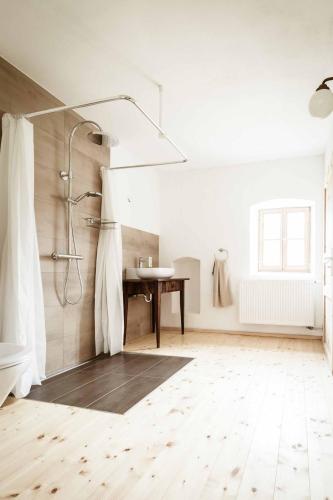 a bathroom with a shower and a sink at Landhaus Holzen in Pfarrkirchen