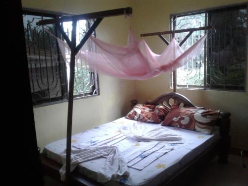 a bedroom with a canopy bed with a pink mosquito net at JJ & JE Family House in Dar es Salaam