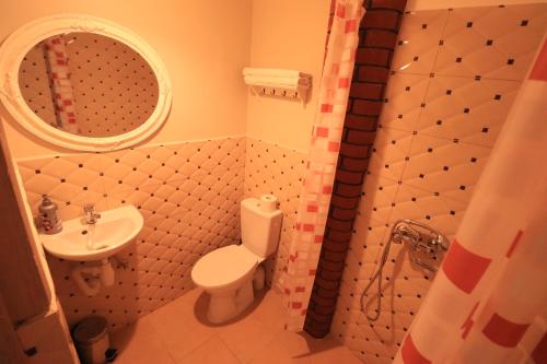 a bathroom with a sink and a toilet and a mirror at Pozingė Pegasas Pokylių namai in Klaipėda
