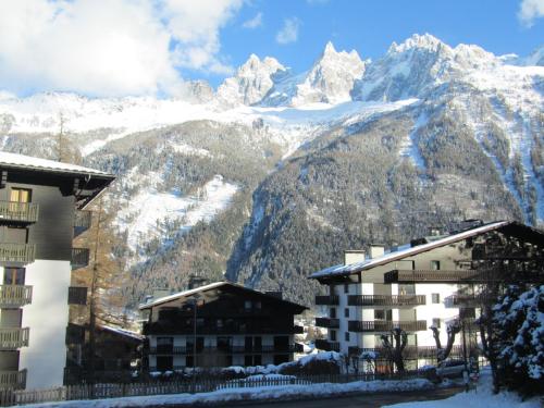 Apartment Le Pied du Brevent - Walk to Ski Lift, Chamonix Getaway