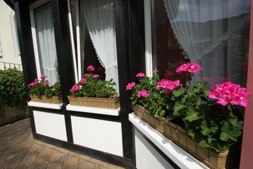 a window with potted flowers on a window sill at Bertricher Hof Hotel Garni in Bad Bertrich