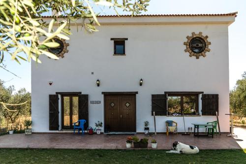 ein Hund, der auf dem Gras vor einem Haus liegt in der Unterkunft Finca Casa Halcon in Almonte