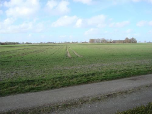 a field of green grass next to a road at up de Pfahldeichsweg in Neugarmssiel