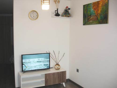 バクーにあるApartment in Old Town Bakuの白い壁のリビングルーム(薄型テレビ付)