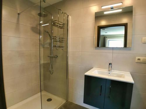 a bathroom with a shower and a sink and a mirror at Villa Natica in Butgenbach