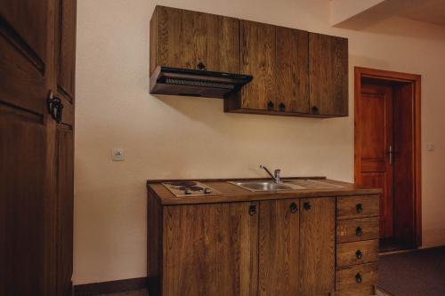 Kuchyň nebo kuchyňský kout v ubytování Apartmani i sobe Dinko