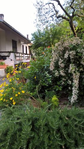 a garden with flowers and plants in front of a house at Valle degli Ulivi appartamento in Terni