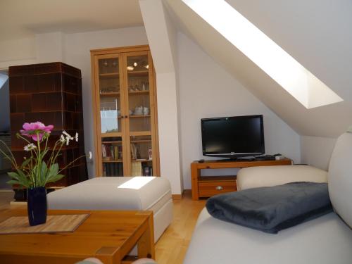 TV a/nebo společenská místnost v ubytování Ferienhaus-Uckermarkblick
