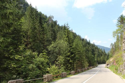 Un paisaje natural cerca del departamento