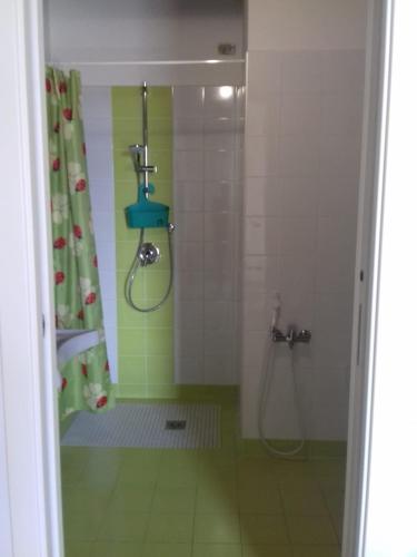 a bathroom with a shower with a shower curtain at Agriturismo Cascina Lert in Marone