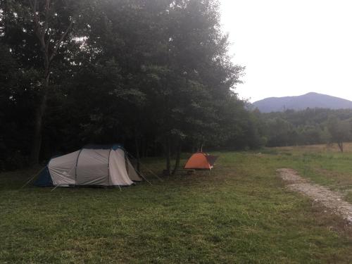 Gallery image of Camping Zamolxe in Sarmizegetusa