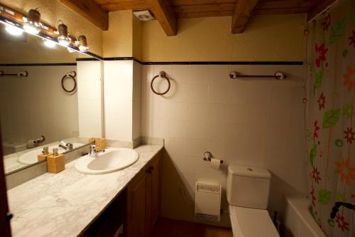 アルプにあるla Cabana dels Esquirolsのバスルーム(洗面台、トイレ、鏡付)