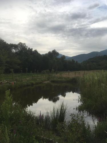 Gallery image of Camping Zamolxe in Sarmizegetusa