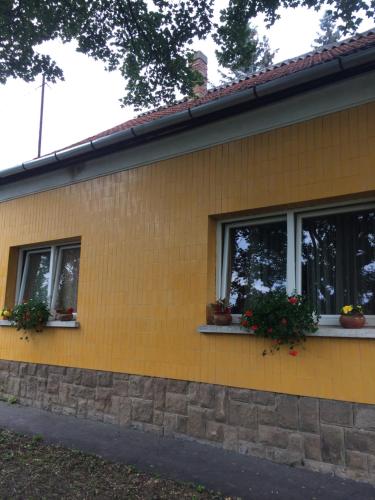 エゲルにあるNapfürdő Apartmanの鉢植えの窓が3つある黄色い家