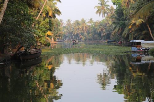 a body of water with palm trees and boats at Marari houseboat in Mararikulam