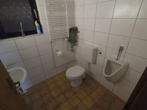 a bathroom with a toilet and a urinal and a sink at Villa-Fuldablick in Morschen