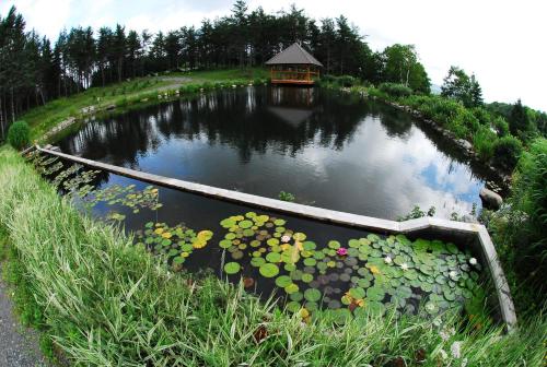 a pond with a gazebo in the middle of it at Domaine Gagnon in Saint Sebastien