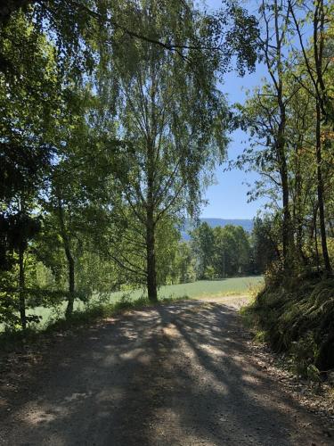 Naturlandschaft in der Nähe der Ferienwohnung