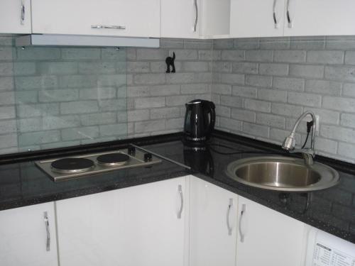 Η κουζίνα ή μικρή κουζίνα στο Batumi Boutique Apartment