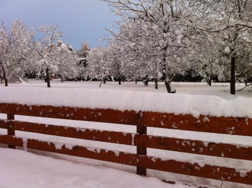 a fence covered in snow with trees in the background at The Studio at Northfield in Methven