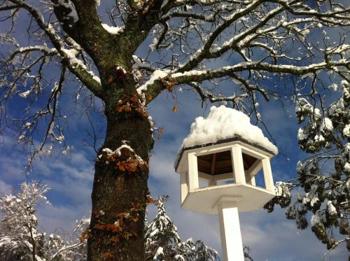 a snow covered tree with a lantern in a tree at The Studio at Northfield in Methven