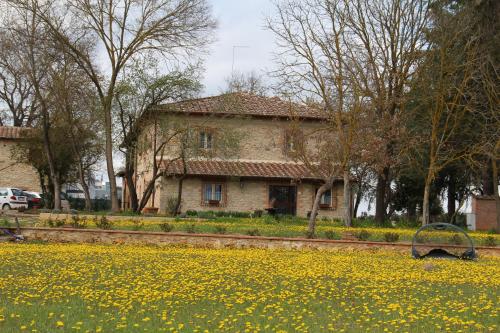 a house with a field of yellow flowers in front of it at Agriturismo La Segolina in Colle Val D'Elsa