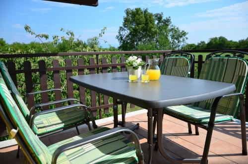 a table with two glasses of orange juice and flowers at Apartma Louis in Dutovlje