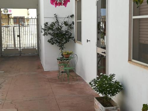 a hallway with a table with a plant on it at vacanza nel salento1 in Matino