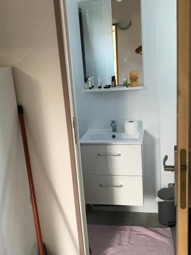 een badkamer met een wastafel en een spiegel bij Chalet proche Orleans centre in Saint-Jean-le-Blanc