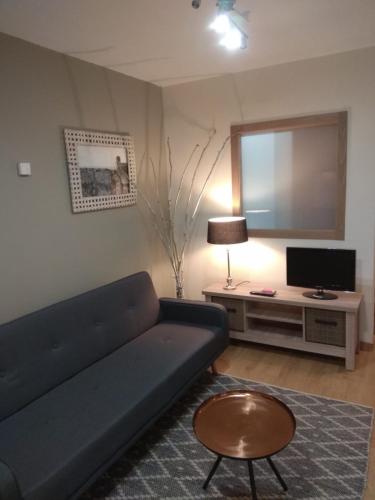 un salon avec un canapé et une télévision dans l'établissement Coqueto apartamento centro VIGO con WIFI, à Vigo