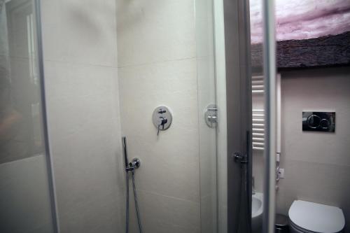 a shower stall in a bathroom with a toilet at La Canonica - charming self-catering apartments in Nizza Monferrato in Nizza Monferrato