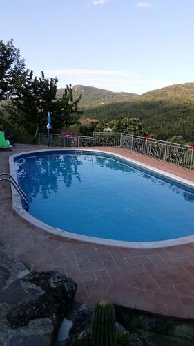 a large blue swimming pool with a cactus at casette Il Mughetto in Santa Fiora