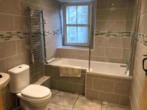 a bathroom with a toilet and a tub and a sink at Plas Eryr apartment in Caernarfon