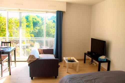 een woonkamer met een bank en een tv bij T1 tout équipé avec balcon & parking ! in Cherbourg en Cotentin