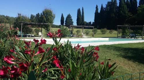 a garden with flowers in front of a pool at Agriturismo Lupo Vecchio in Grosseto