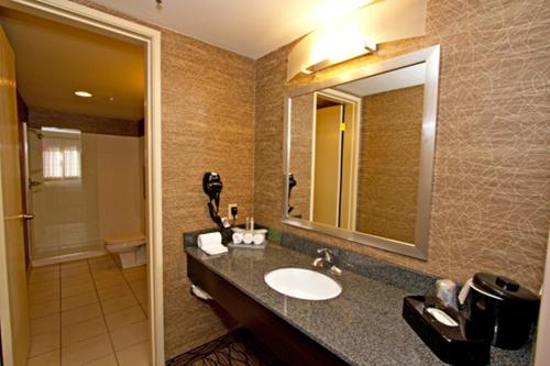 a bathroom with a sink and a mirror at Holiday Inn Express Port Hueneme by IHG in Port Hueneme
