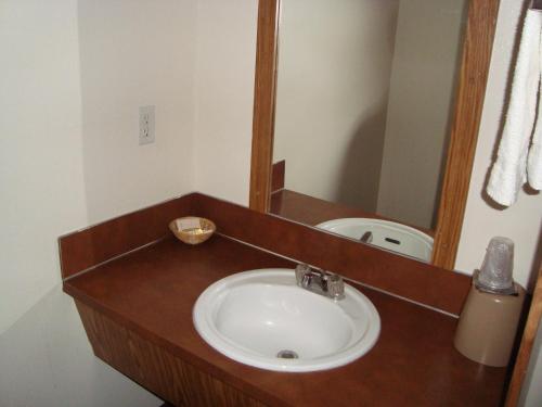 a bathroom sink with a mirror above it at Willow Springs Motel in Cheney