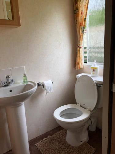 a bathroom with a toilet and a sink and a window at 57 Glenfinart Caravan Park in Ardentinny